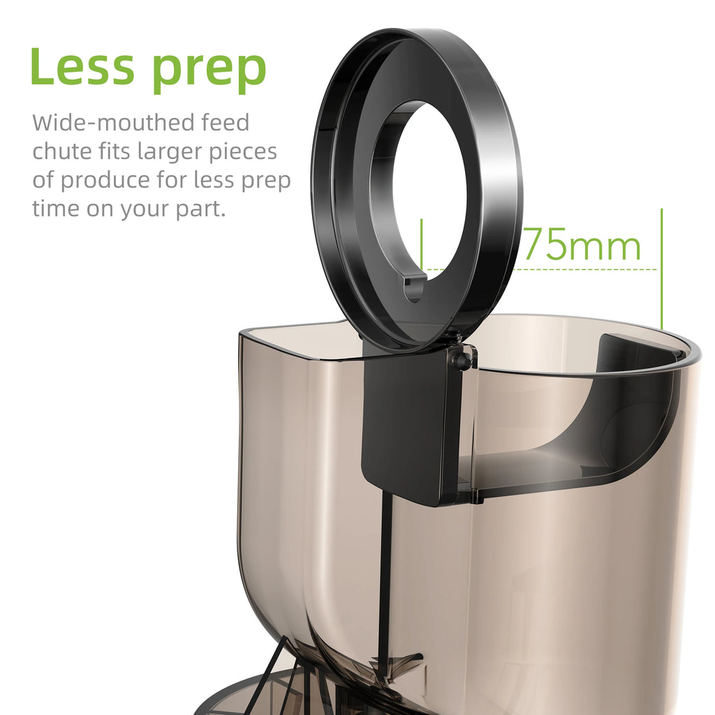 BioloMix Whole Fruit Cold Press Juicer